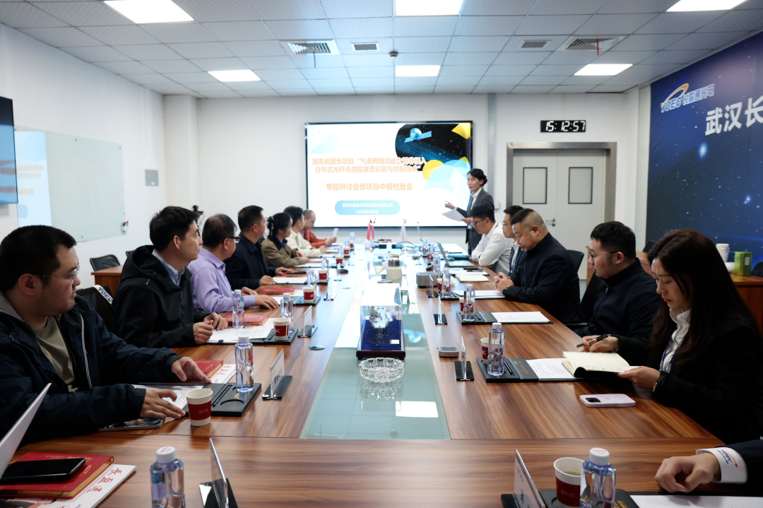 长盈通助力深海能源技术攻关——海南省国际合作项目中期检查会在汉成功召开